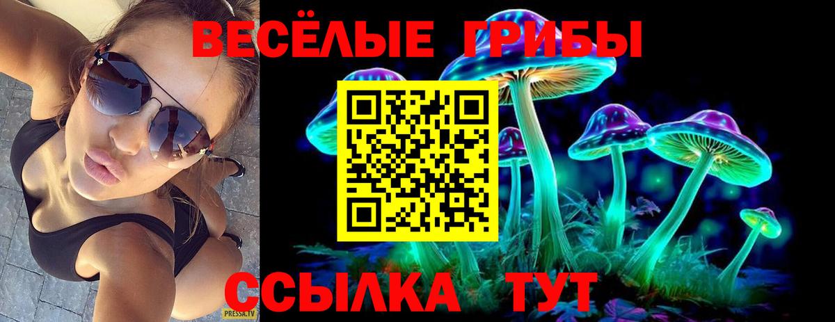 Псилоцибиновые грибы мицелий  Вход с VPN  Иркутск 