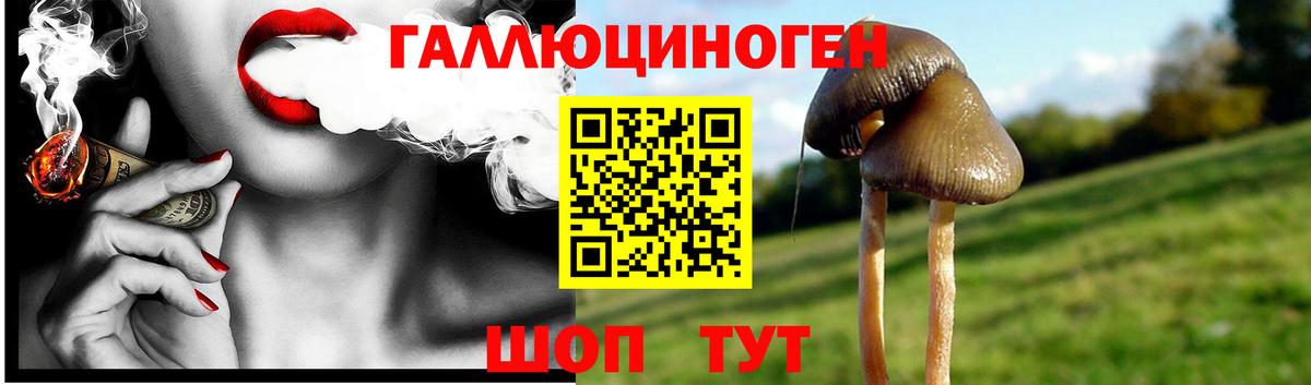 Галлюциногенные грибы GOLDEN TEACHER Иркутск